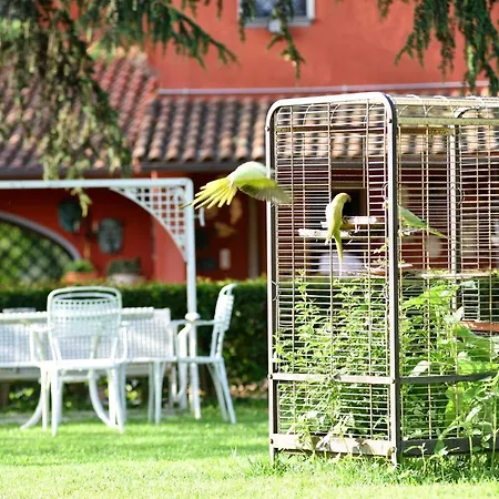 Gasthuis '900 Affitta